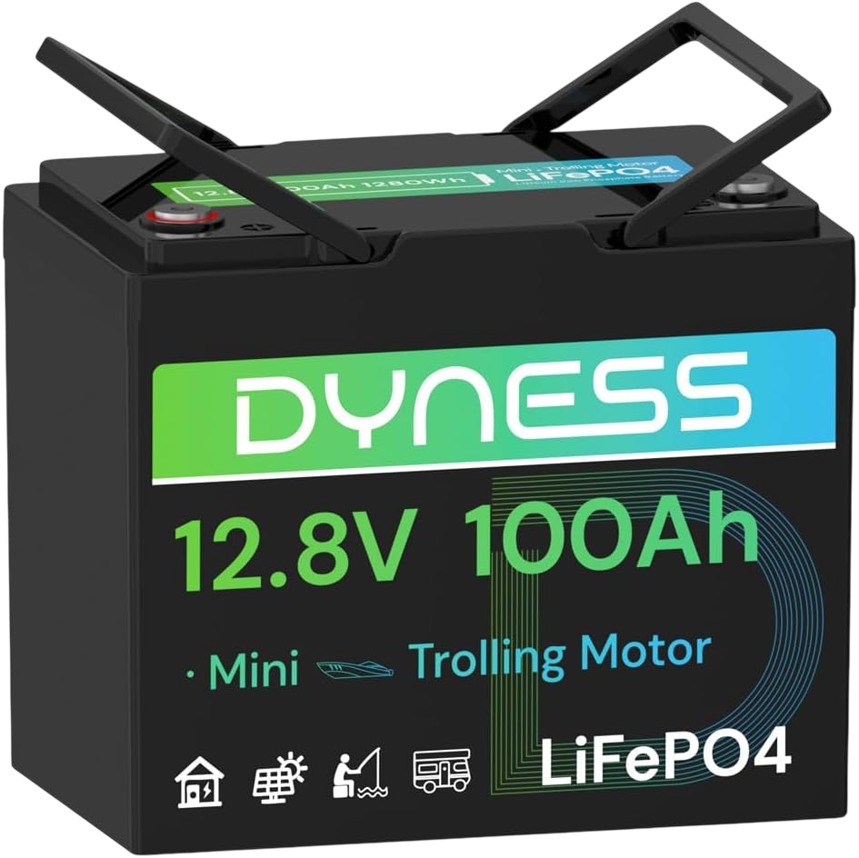 12V 100Ah Mini LiFePO4 Battery Group 24 by Trophy